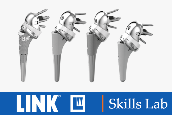 linkbio reconstruction